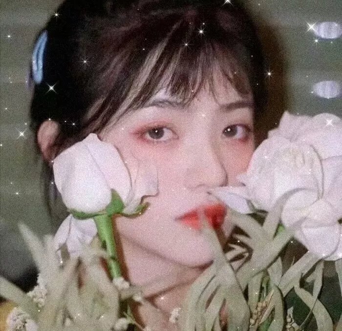 太空百合战斗姬